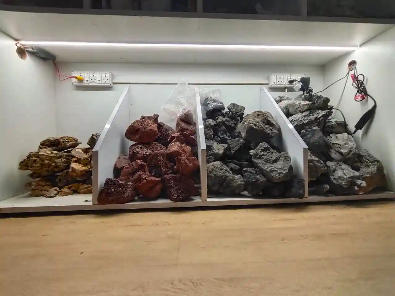 Aquarium Fishes and Accessories Wholesaler In Raipur