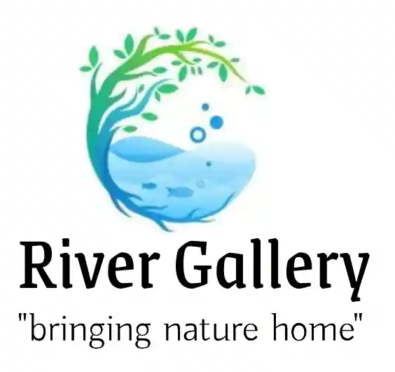 Aquarium Fishes and Accessories Wholesaler In Raipur